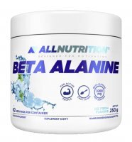 ALLNUTRITION Beta Alanine 250 g Ice Fresh