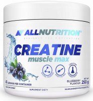 ALLNUTRITION Creatine Muscle Max 250 g Blueberry