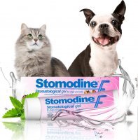 Stomodine F Żel stomatologiczny dla psów i kotów 30 ml