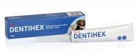 Dentihex pasta do zębów z aplikatorem dla psów i kotów 20 g