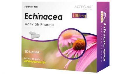 Echinacea 100 mg 50 kapsułek